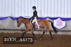 21YN_44173 proof