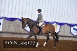 21YN_44177 proof