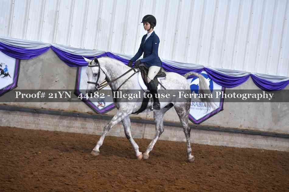 Proof 21YN_44182
