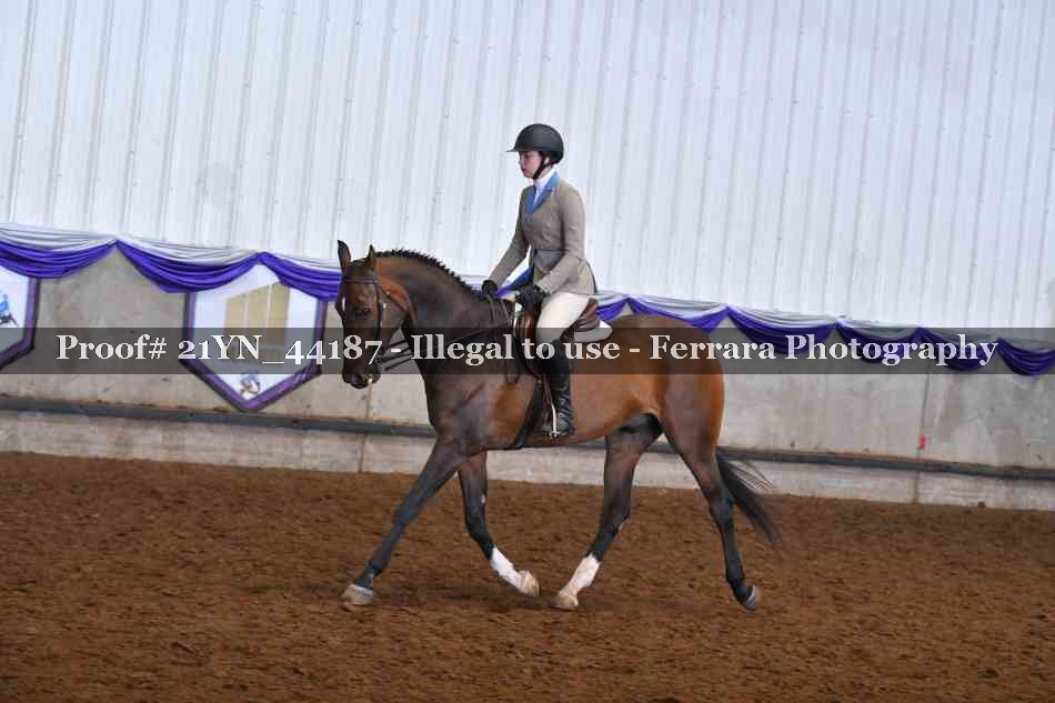 Proof 21YN_44187