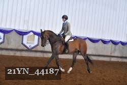 21YN_44187 proof