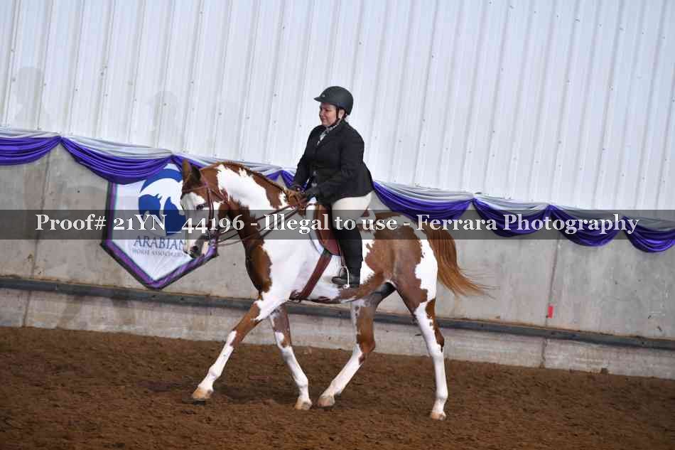 Proof 21YN_44196