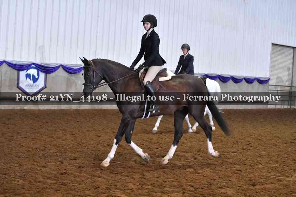 Proof 21YN_44198