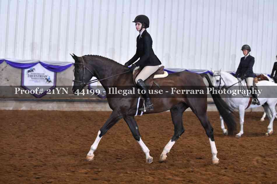 Proof 21YN_44199