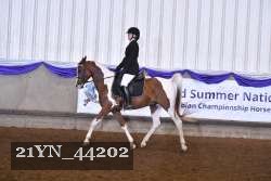 21YN_44202 proof