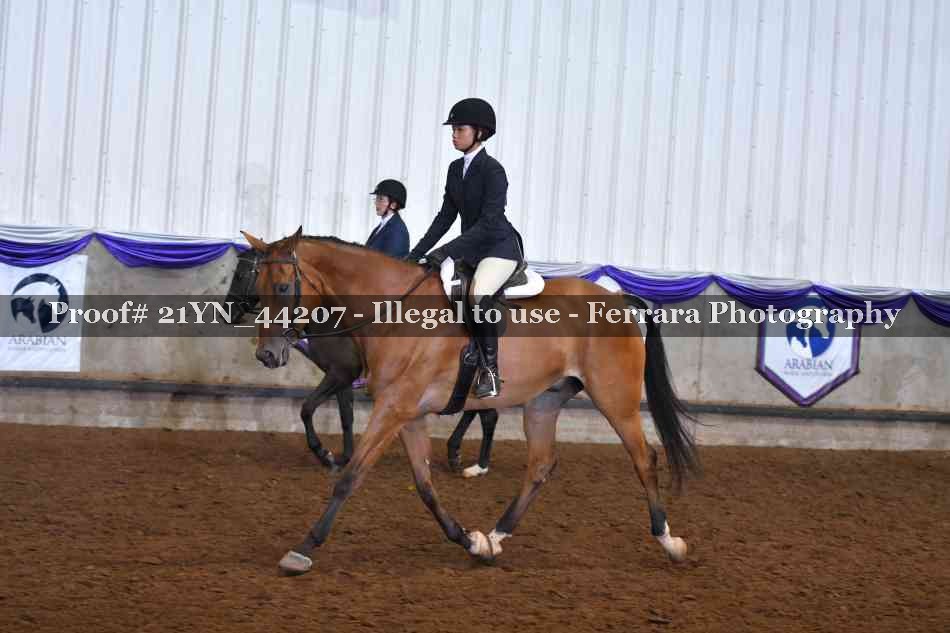 Proof 21YN_44207