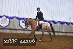 21YN_44208 proof