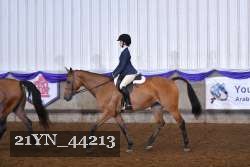 21YN_44213 proof