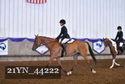 21YN_44222 proof