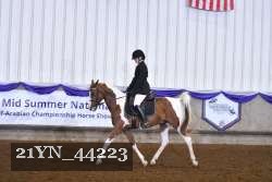 21YN_44223 proof