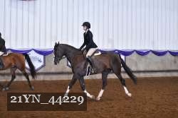 21YN_44229 proof