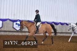 21YN_44232 proof