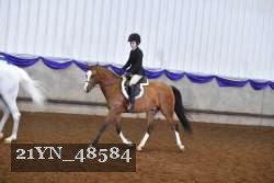 21YN_48584 proof