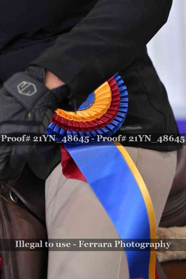 Proof 21YN_48645