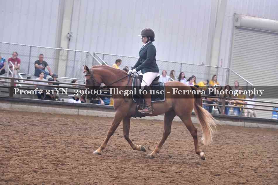 Proof 21YN_39600