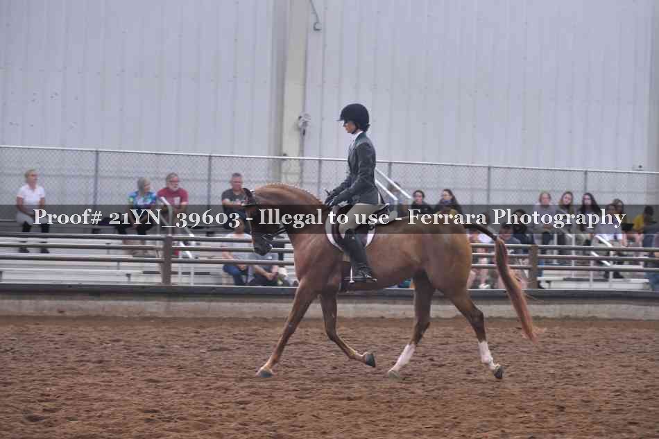 Proof 21YN_39603