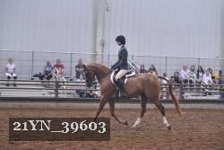 21YN_39603 proof