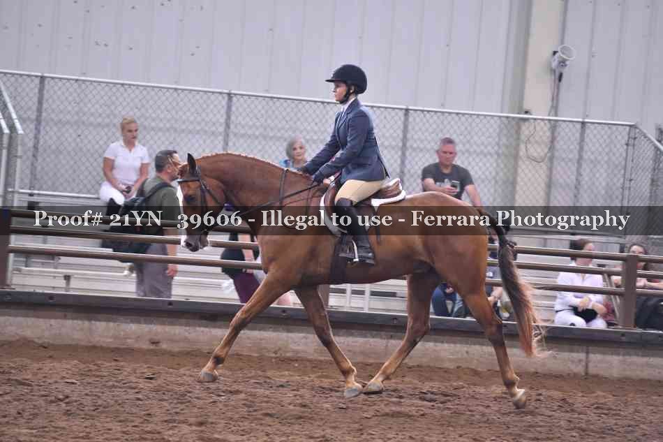 Proof 21YN_39606