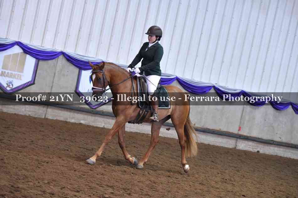 Proof 21YN_39623
