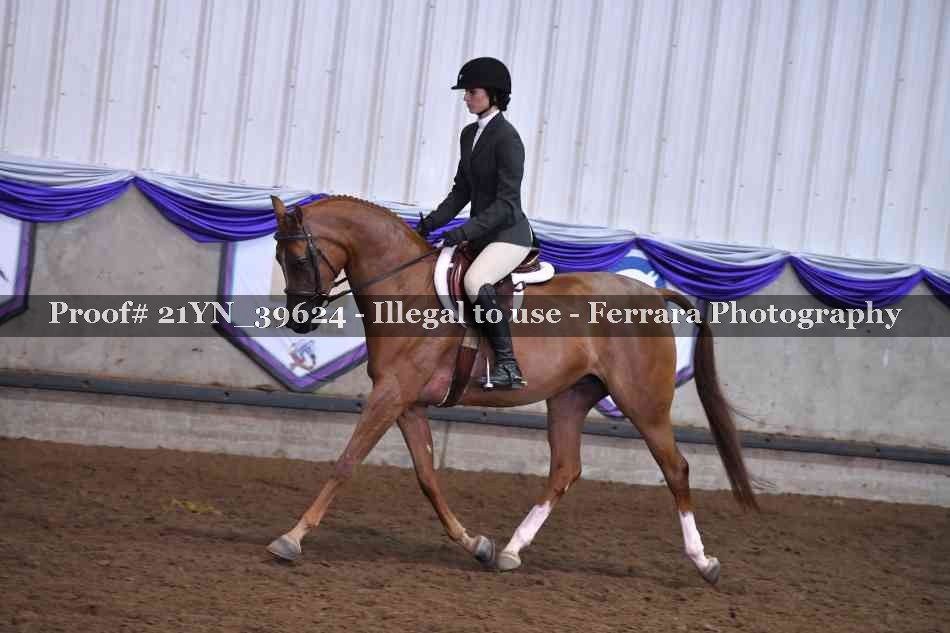 Proof 21YN_39624