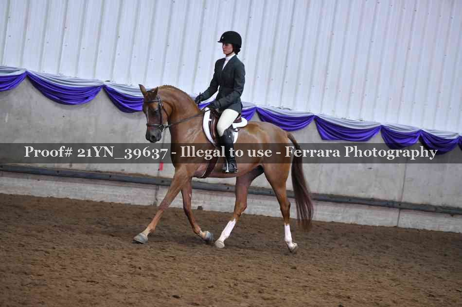 Proof 21YN_39637