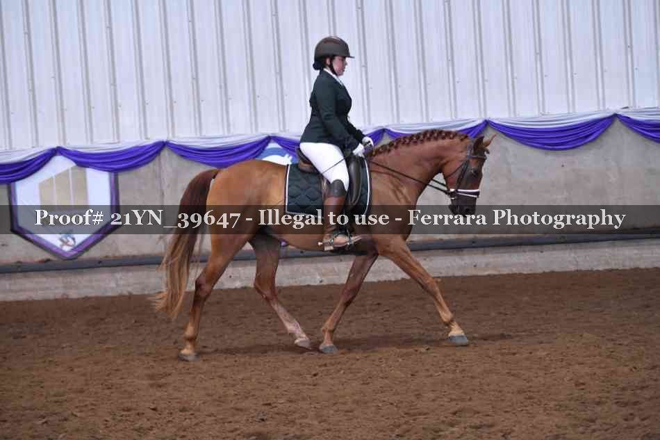 Proof 21YN_39647
