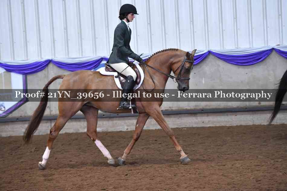 Proof 21YN_39656