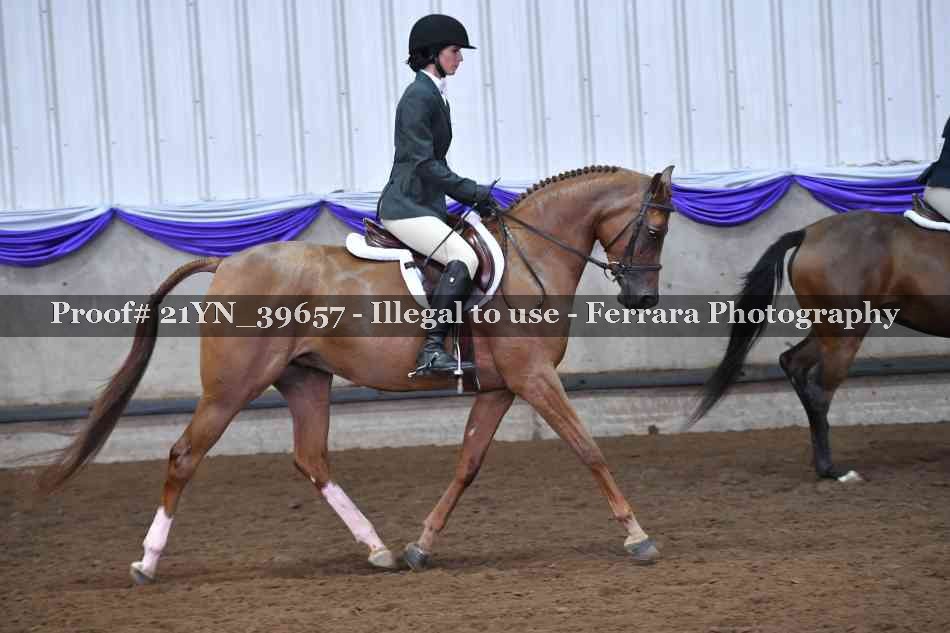 Proof 21YN_39657