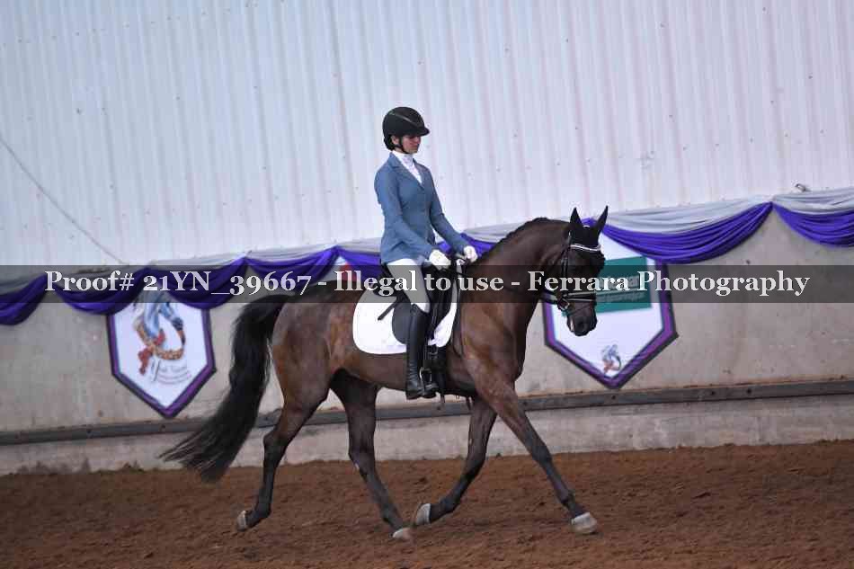 Proof 21YN_39667