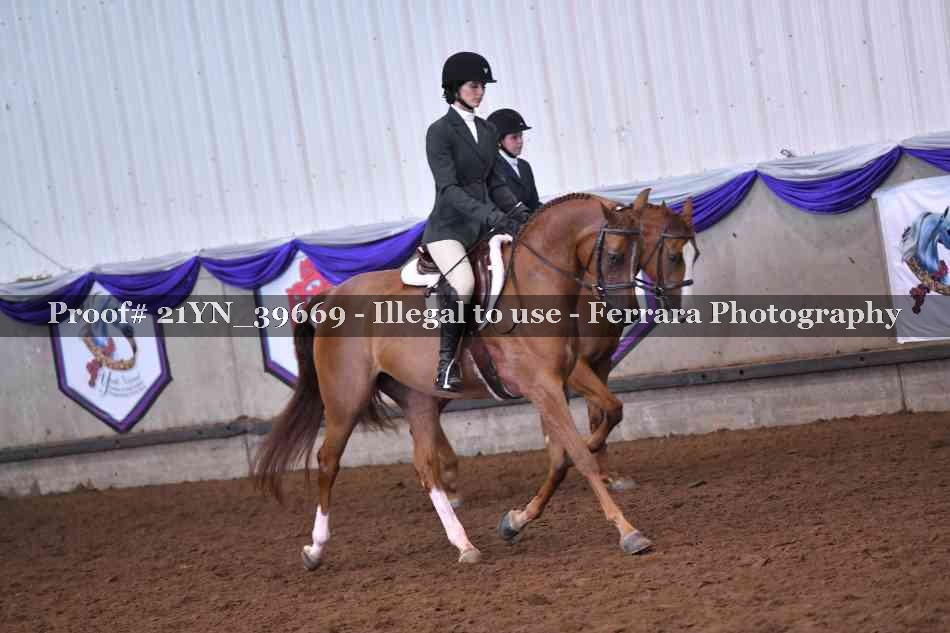 Proof 21YN_39669