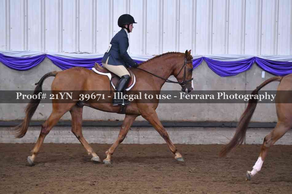 Proof 21YN_39671