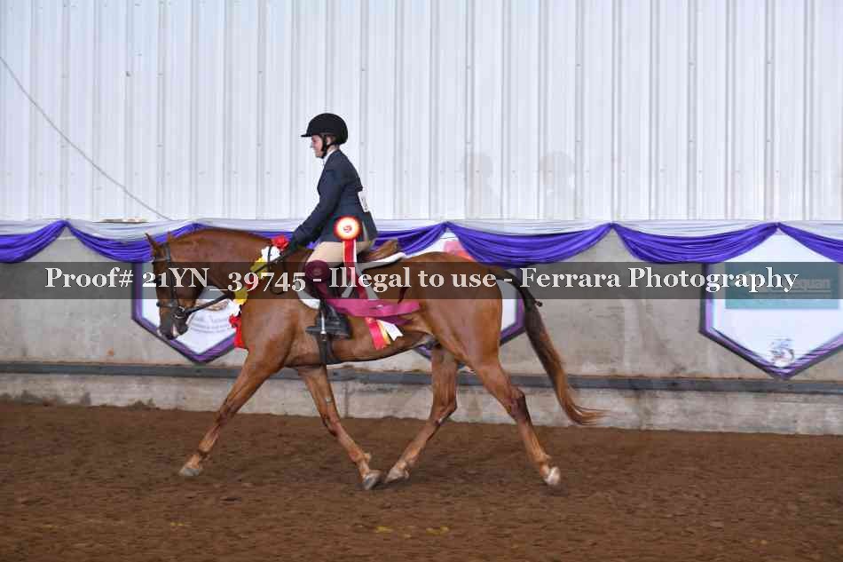 Proof 21YN_39745