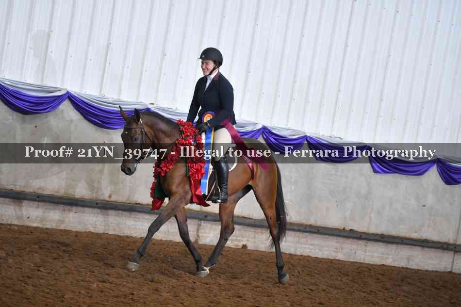 Proof 21YN_39747