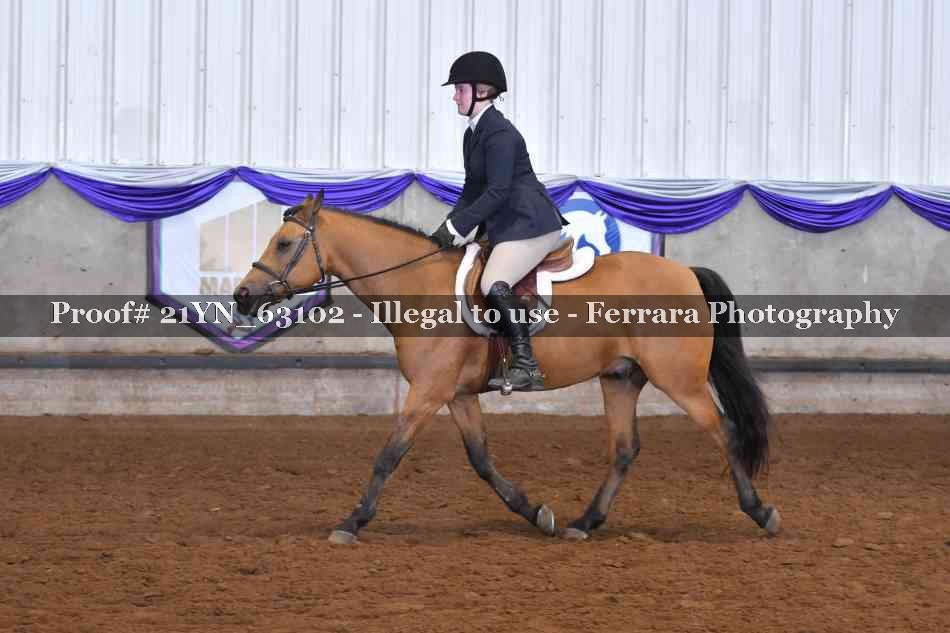 Proof 21YN_63102