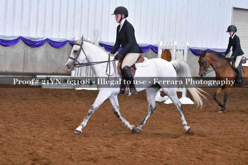 Proof 21YN_63108