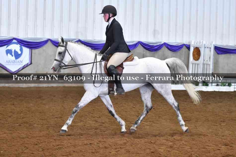 Proof 21YN_63109