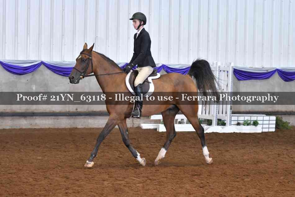 Proof 21YN_63118