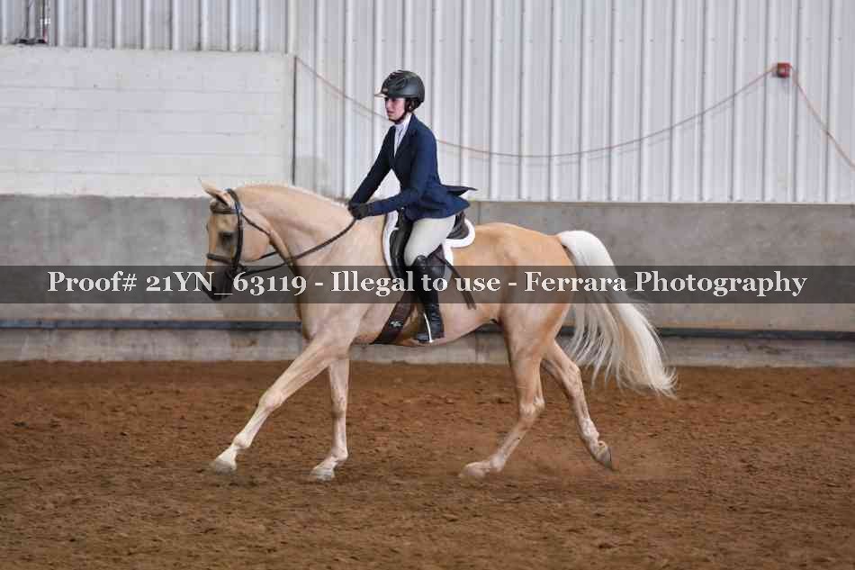 Proof 21YN_63119