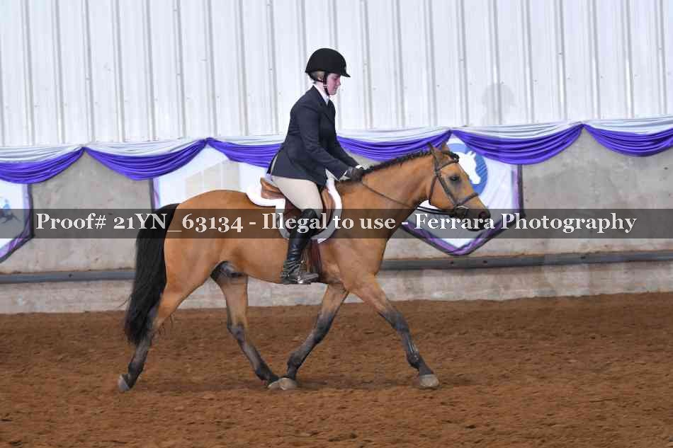 Proof 21YN_63134