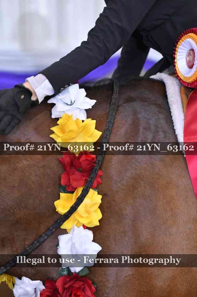 Proof 21YN_63162