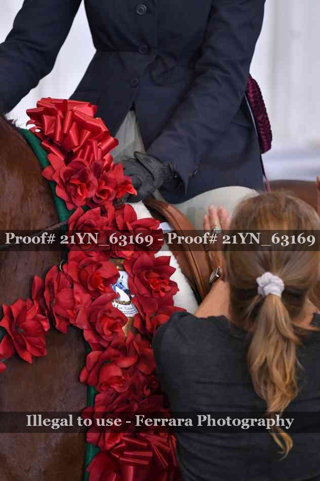 Proof 21YN_63169