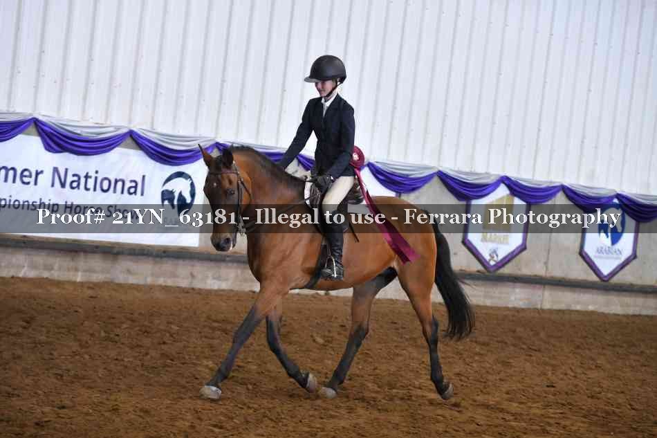 Proof 21YN_63181