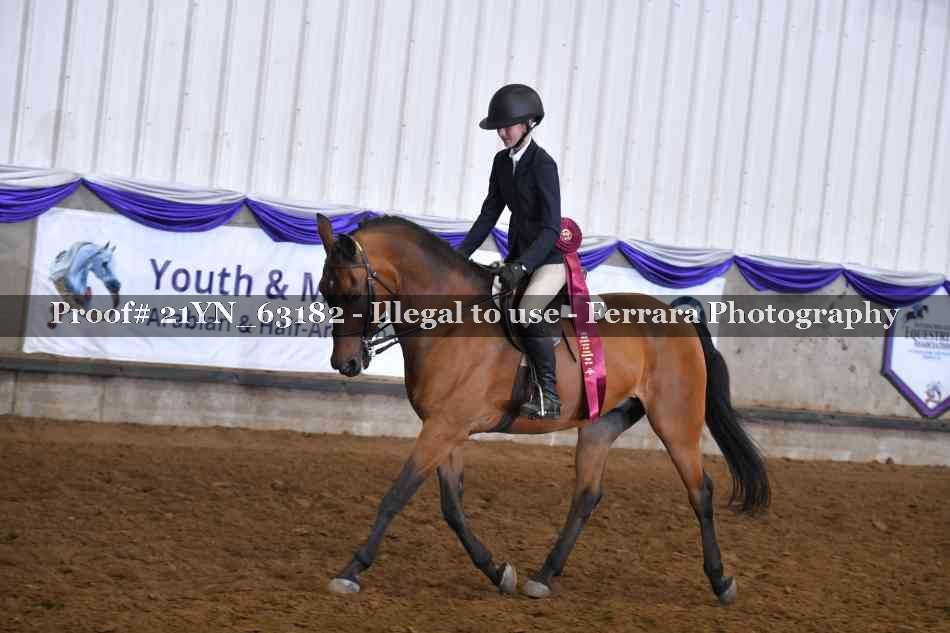 Proof 21YN_63182