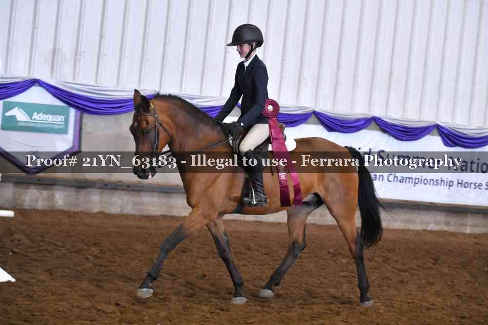 Proof 21YN_63183