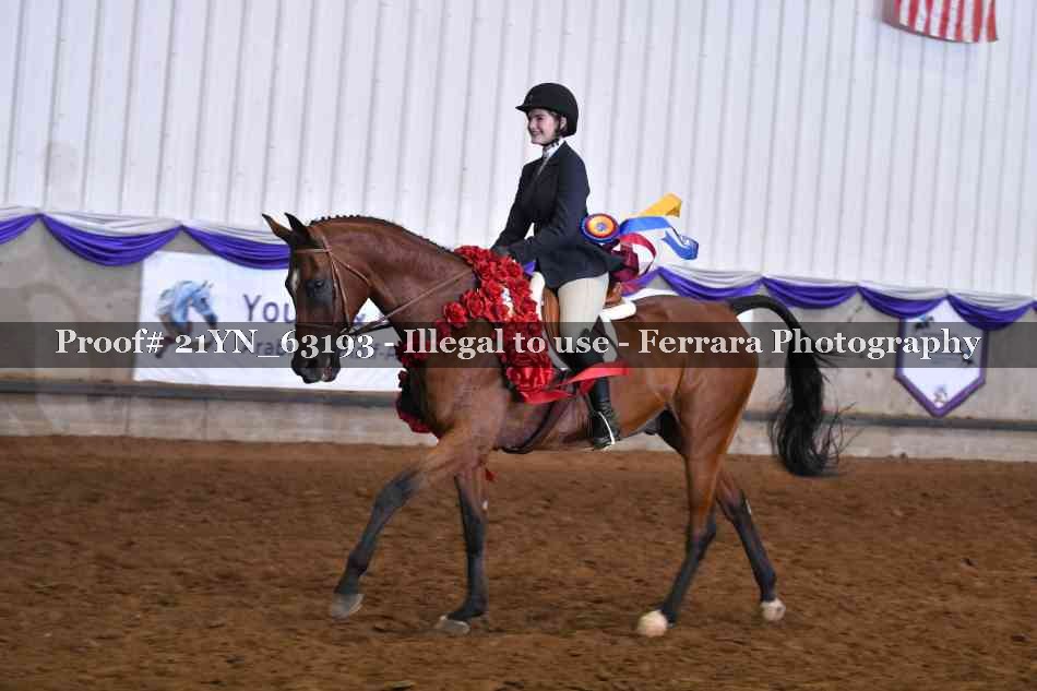 Proof 21YN_63193