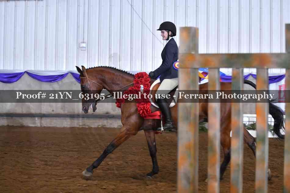 Proof 21YN_63195