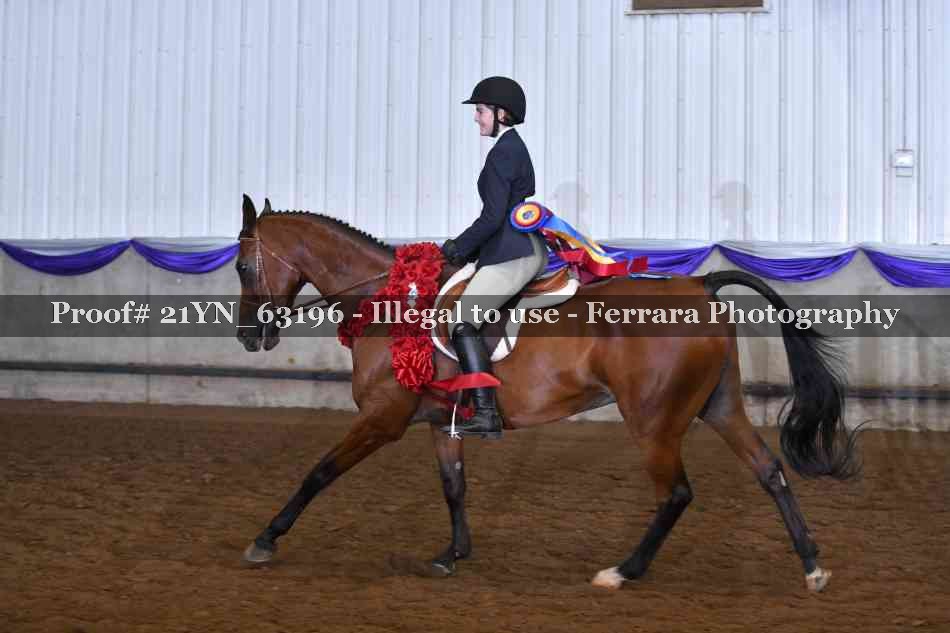 Proof 21YN_63196