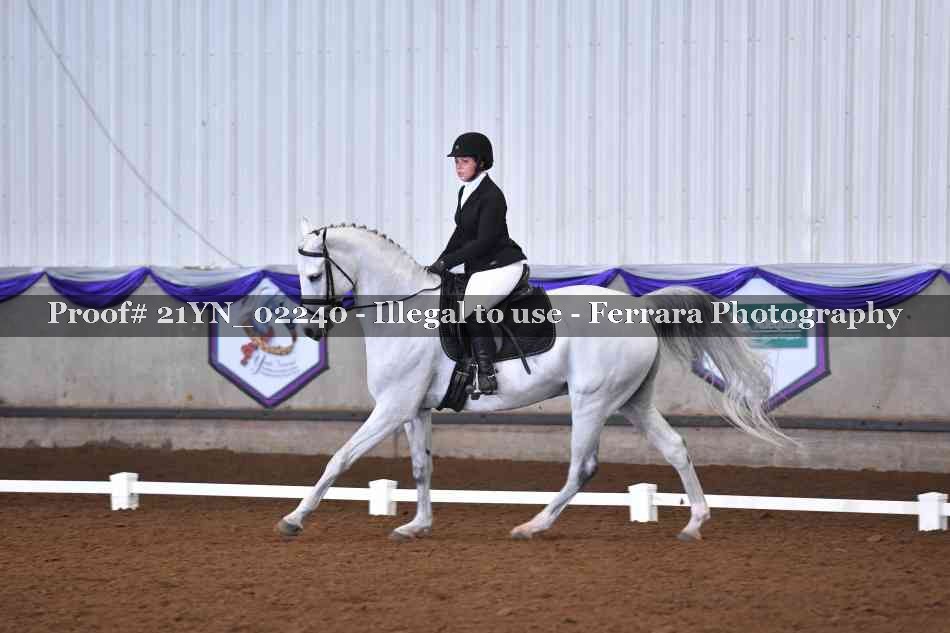 Proof 21YN_02240