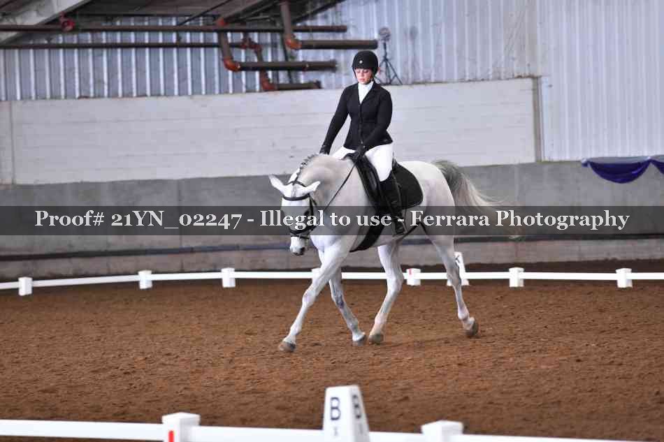 Proof 21YN_02247