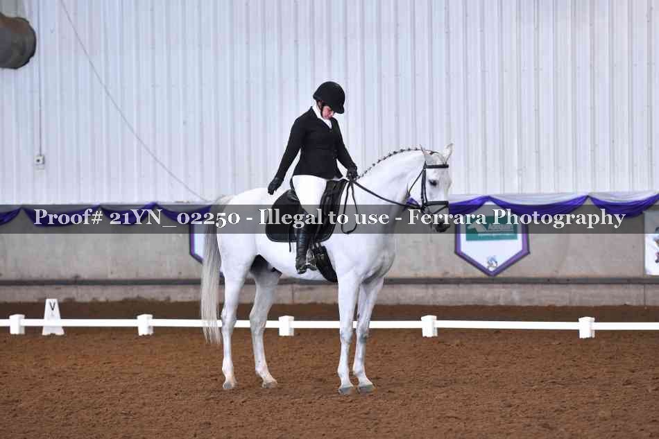 Proof 21YN_02250